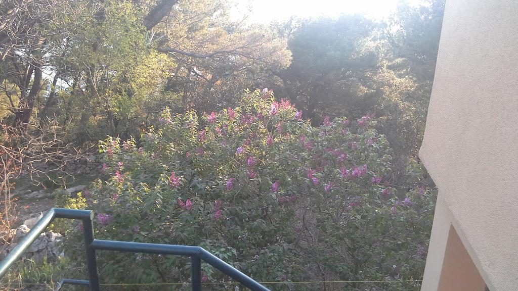 Apartment Gal Podgora Bagian luar foto
