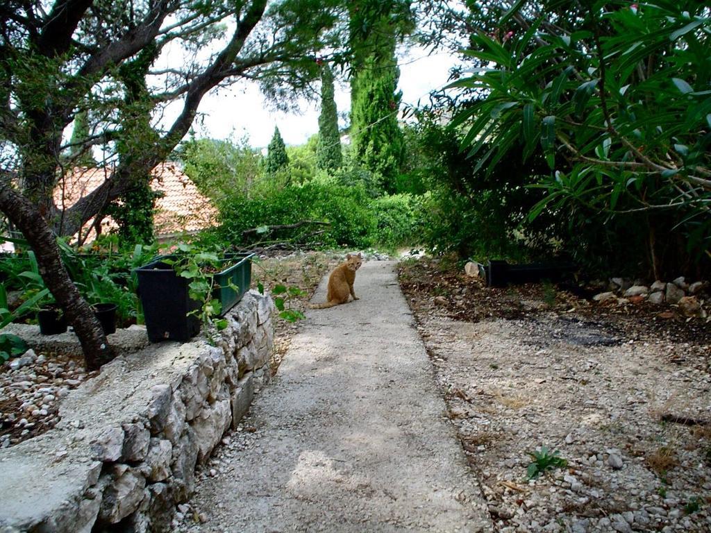 Apartment Gal Podgora Bagian luar foto