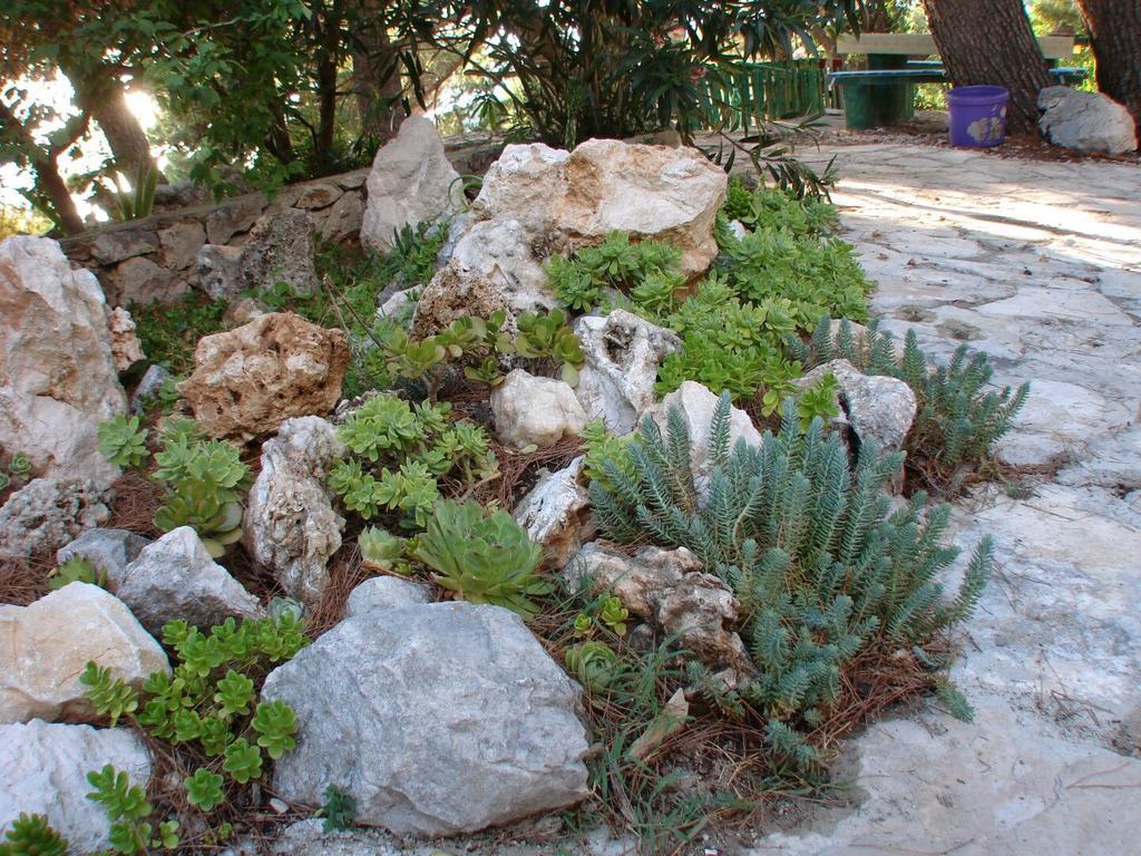 Apartment Gal Podgora Bagian luar foto