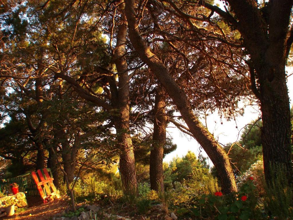 Apartment Gal Podgora Bagian luar foto