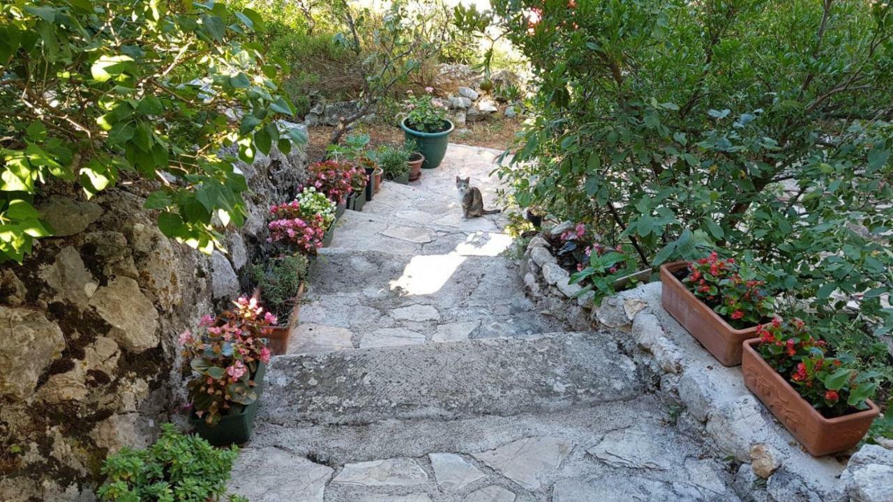 Apartment Gal Podgora Bagian luar foto